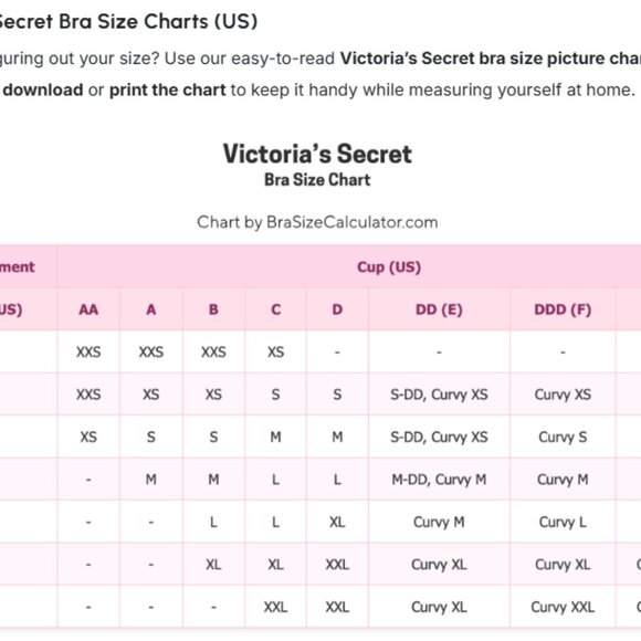 Victoria's Secret Dark Red Sports Bra Size L NWT!!! - Picture 4 of 4